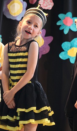 
      The Bees Musical!
      
