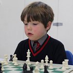 
        Giga-Final Here We Come!
        