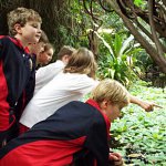 
        Year 5's Exotic Travels
        