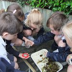 
        Where the wild things are
        