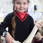 
        Day in the Life of a Vet
        