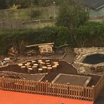 
        Wildlife Area Looking Great!
        