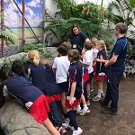 
        Rainforest Explorers
        